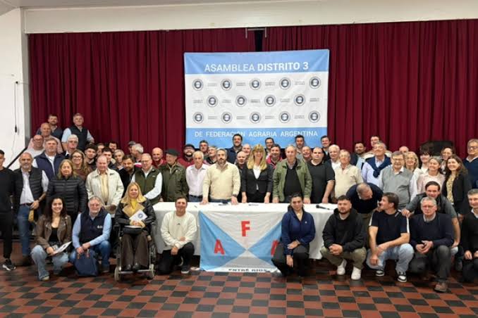 articulo-3